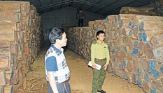 Cites Việt Nam sẽ hướng dẫn các doanh nghiệp xử lý