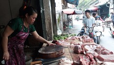 Sức tiêu thụ thịt lợn ở Hà Nội giảm do dịch tả lợn châu Phi Sức tiêu thụ thịt lợn ở Hà Nội giảm do dịch tả lợn châu Phi