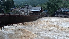 Lũ ầm ầm kéo về Sa Pa, cuốn trôi ô tô, làm sập cầu treo