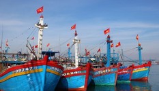 Cấp hạn ngạch đánh bắt vùng khơi cho trên 31.500 tàu cá