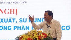 Năng suất lúa, cà phê Việt Nam cao nhất thế giới nhưng tiền thu về ít nhất