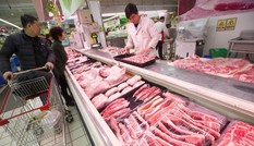 Giá lợn hơn 20.000 đồng/kg, Việt Nam sẽ tăng xuất khẩu đi Trung Quốc?