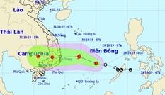 Bão di chuyển phức tạp, chiều tối mai đổ bộ Nam Trung bộ