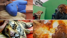 Ngạc nhiên trước kỹ xảo trong phim Hollywood