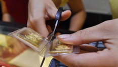 Đại lý tăng mua gom vàng miếng sau Tết Nguyên đán Đại lý tăng mua gom vàng miếng sau Tết Nguyên đán
