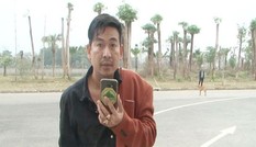 Tuyên phạt hai năm tù ‘thánh chửi’ Trần Đình Sang