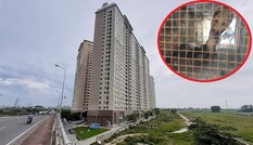 Phát quang cây cối xung quanh chung cư Hà Nội liên tục bị rắn độc 'bủa vây'