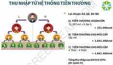 Nguy cơ bị lừa khi tham gia hệ thống đa cấp chui Lá Xanh xuất xứ Trung Quốc