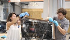 Mỹ tố 4 nước trợ cấp và bán phá giá sản phẩm, Bộ Công Thương cảnh báo khẩn