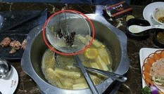Thực khách tá hỏa phát hiện 8 con gián trong nồi lẩu Thực khách tá hỏa phát hiện 8 con gián trong nồi lẩu