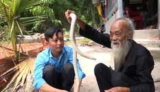 Lão nông nuôi 'bạch xà' làm thú cưng ở An Giang