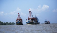 Việt Nam bác bỏ lệnh cấm đánh bắt cá đơn phương của Trung Quốc trên biển Đông