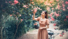 Đường tường vi hồng rực: Cách Linh Đàm 1km, chỉ 40K check-in thả ga