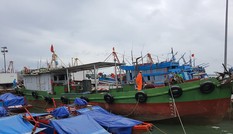 Nghệ An lên phương án di dời hơn 16 nghìn người để tránh bão số 2