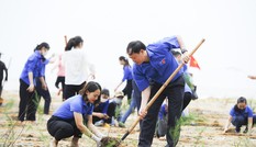 Trung ương đoàn, Tỉnh đoàn Nghệ An ra quân Ngày chủ nhật xanh lần thứ 4