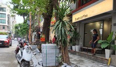 Tổng kiểm tra lát đá vỉa hè trên địa bàn Hà Nội