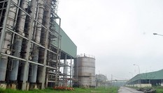 Đưa Ethanol Phú Thọ và Ethanol Bình Phước ra khỏi danh sách 12 dự án yếu kém