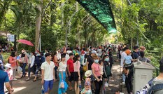 Người dân nườm nượp đổ về Thảo Cầm Viên ngày Quốc khánh