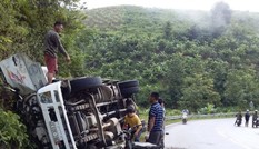 2 người mắc kẹt trong chiếc ô tô lật, 7 con trâu chết trên thùng xe