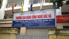 Bộ GD&ĐT yêu cầu gần 50 đơn vị dừng cấp chứng chỉ ngoại ngữ, tin học