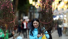 Thời tiết ấm dần từ hôm nay