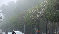 Miền Bắc sương mù, mưa phùn nhiều ngày tới