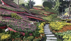 TPHCM công bố các điểm giữ xe cho khách đi Đường hoa và Hội hoa Xuân