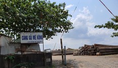 Thanh tra TPHCM kiến nghị xử lý tình trạng 'xẻ thịt' đất công viên