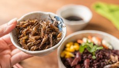 Được cha cho ăn đặc sản 'độc lạ', bé trai suýt mất mạng