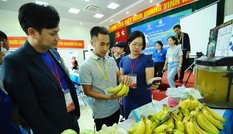 10 dự án khởi nghiệp thanh niên nông thôn xuất sắc nhất khu vực miền Bắc 2020