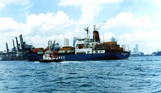 Tân Tổng Giám đốc Vinalines những ngày sau giông bão
