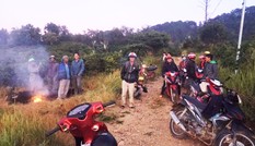 Nhầm tưởng sâm quý Ngọc Linh, dòng người đổ vào vườn quốc gia săn lùng