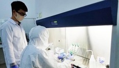 Giám đốc người Nhật mắc COVID-19, Lâm Đồng kích hoạt nhiều cơ sở cách ly