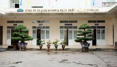 'Sờ gáy' 6 doanh nghiệp nhiều sai phạm sử dụng đất công