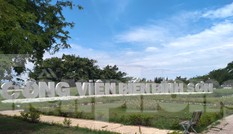 Chủ tịch Ninh Thuận chỉ đạo sửa công viên biển 90 tỷ đồng xuống cấp nghiêm trọng
