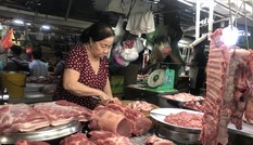 'Đỏ mắt' tìm mua thịt heo nhập khẩu