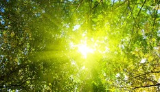 Miền Bắc mưa giảm, miền Trung nắng nóng