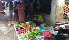 Thị trường ngày 26/10: Rau xanh tăng giá 'kỷ lục' sau bão, khách sạn tiếp tục giảm giá