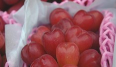 Thị trường 29/10: Hàu sữa giá rẻ chưa từng có, nho trái tim hơn 2 triệu đồng/kg