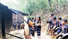 “Bắt chồng” khi mùa xuân chạm ngõ