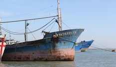 Tàu tiền tỷ nằm bờ vì vướng... quy định