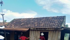 Đắk Lắk: 2 người chết, 1 người bị thương vì sét đánh khi đang gặt lúa