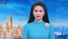 Showbiz 1/4: BTV thời sự 19h bị giả mạo Facebook để đưa tin về Mai Phương và mẹ ruột