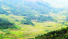 Tôi đi săn chuột 'quý tộc'
