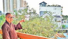 Về ngôi chùa cổ Giác Lâm bị rao bán