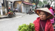 Rau rừng xứ Lạng lên ngôi
