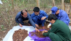 Phát hiện hài cốt liệt sĩ ở Trường Sơn