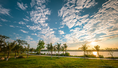 Biệt thự đảo Ecopark Grand – The Island kiến tạo chuẩn sống wellness