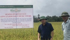 Tăng thể chế để ngân hàng tiếp sức doanh nghiệp, nông dân xuất khẩu nông thủy sản sang EU