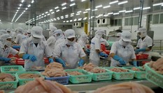 Thanh tra Bộ Nông nghiệp Mỹ đánh giá an toàn thực phẩm với cá tra Việt Nam